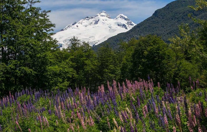 Cerro Tronador (sin Cascada los Alerces)